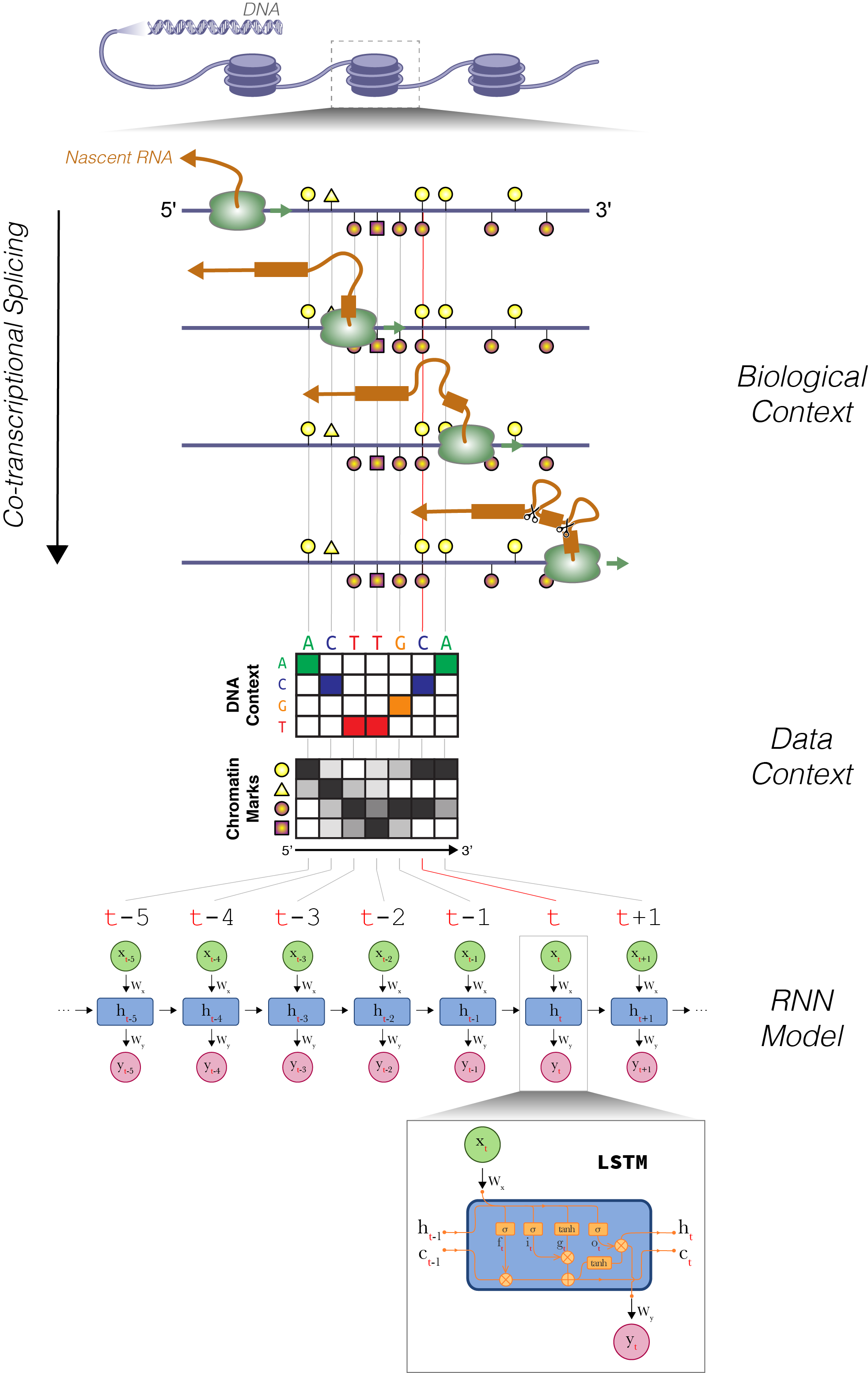 ESPRNN Overview