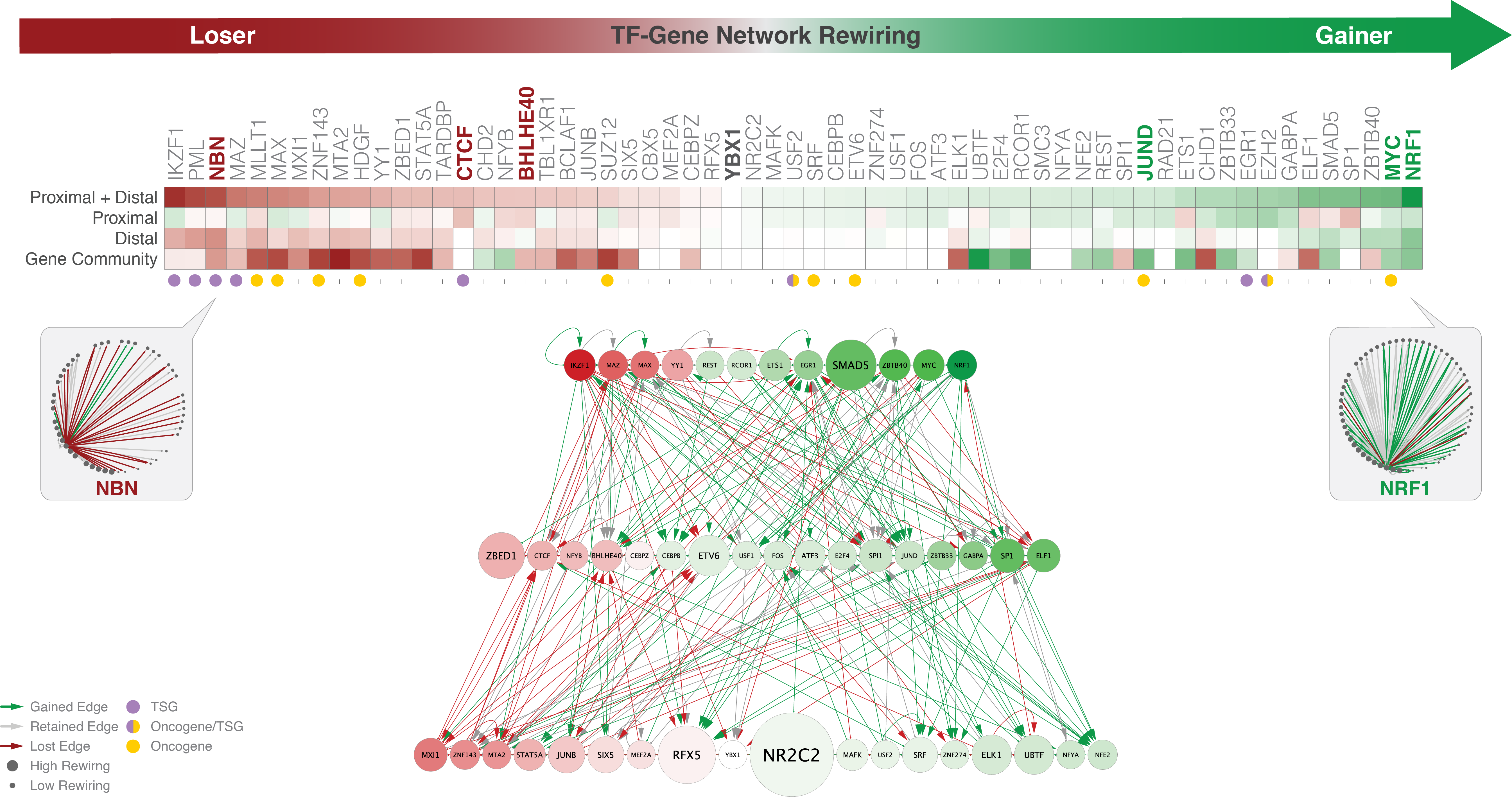 Rewiring Highlight