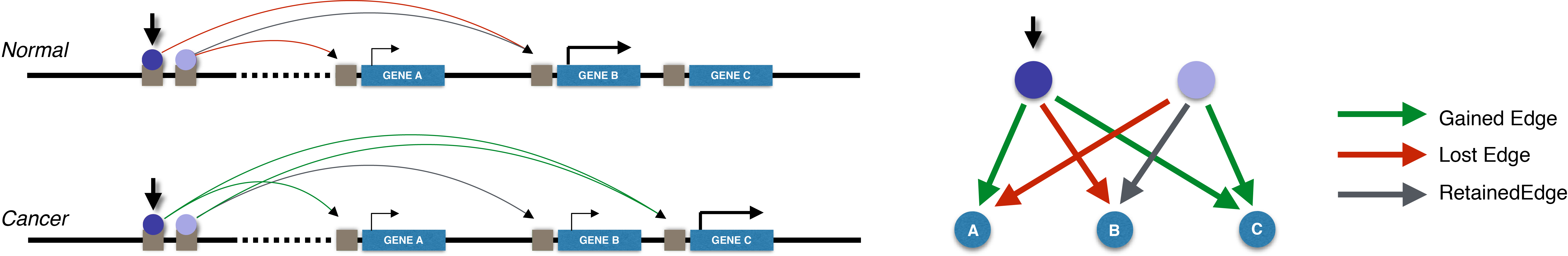 Rewiring Schematic